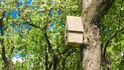 Wooden house for birds on the tree in the garden