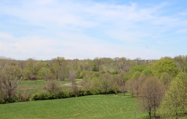 Obraz premium The green spring country landscape on a sunny day.