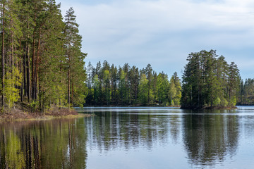 Fototapeta na wymiar Small fishing lake in Sweden