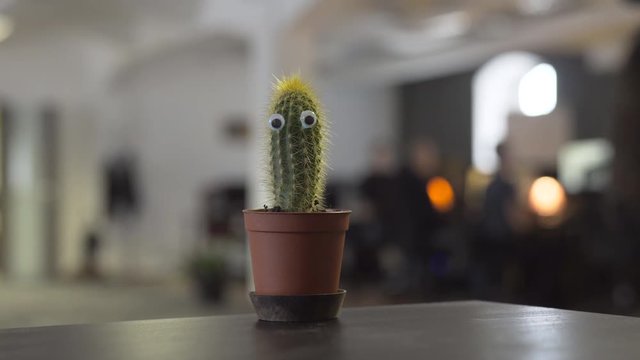 Funny cactus in an office, with copy space for other media, or mokups. Healthy, stress free work environment.