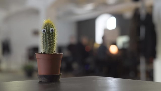 Selective focus shot of a funny little cactus in an office, conceptual shot of healthy, stress free work environment