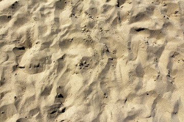 beach sand on the Baltic Sea