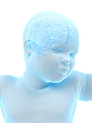 3d rendered medically accurate illustration of a babys brain