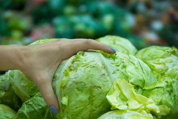 hand of the woman choosing a head of cabbage on a counter