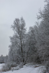 Winter Netherlands