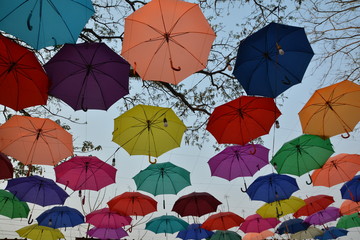 Fototapeta na wymiar The magic of the umbrella