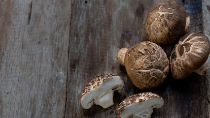 Close up mushroom on wooden background