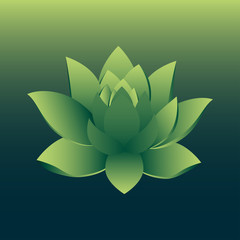 Flower lotus for decoration. Vector illustration.