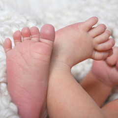 Cute small newborn feet close
