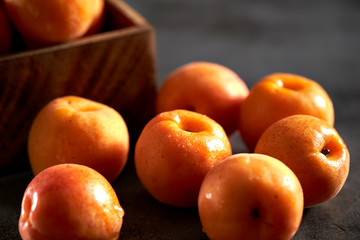 Fresh apricots