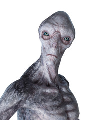 3d rendered illustration of a grey alien © Sebastian Kaulitzki