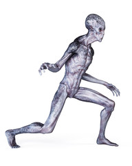 3d rendered illustration of a grey alien