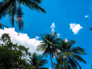 View on the clouds over a tropical forest