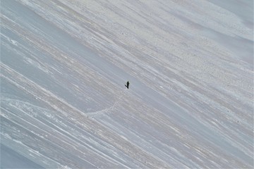 Wanderer im Schnee