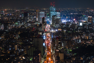 view of the Metropolitan Expressway no.3 Shibuya Line and city, Tokyo, Japan