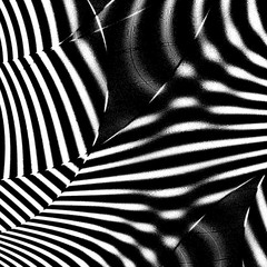 ZEBRA art decor abstract graphic monohrome background