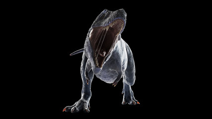 3d rendered illustration of an isolated t-rex