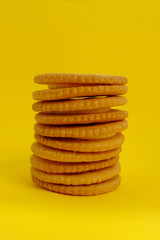 Biscuit on yellow background, Closeup cracker on vintage background, Round cookies line up