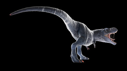 Obraz na płótnie Canvas 3d rendered illustration of an isolated t-rex