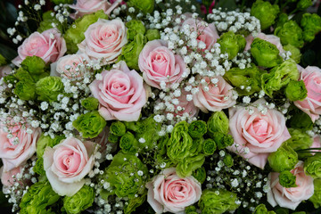 Background of Light Pink Roses and Green Flowers