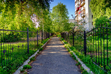 path in the park