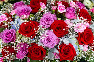 Background Flower Composition with Roses, Carnation and White Flowers