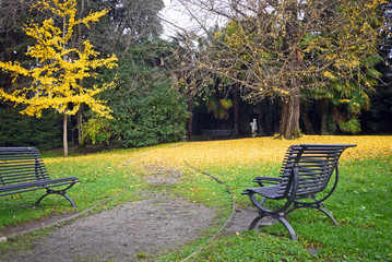 Fototapeta na wymiar Park in autumn with iron bench in the foreground and yellow fallen leaves on green lawn. Bergmao, Italy.