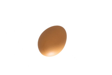 egg on white background