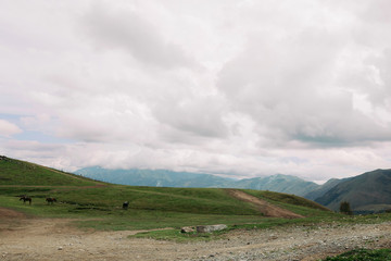 Beautiful view of the Caucasus Mountains along the Georgian Military Road