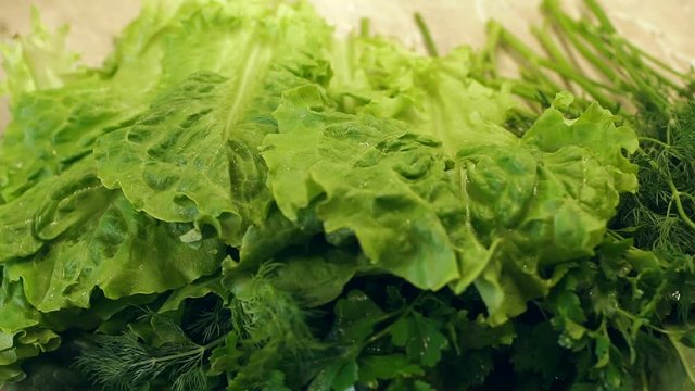 Close-up girl puts on the table wet lettuce. Vegetarianism. Beautiful wet lettuce with water drops. Slow motion. Green vegetables.