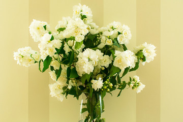 Fragrant bouquet of white jasmine in a vase.