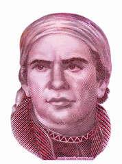 Jose Maria Morelosy Pavon portrait on Mexico 50 pesos (2015) banknote. Mexico money currency. Close Up UNC Uncirculated - Collection...