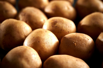 Fototapeta premium Potatoes 