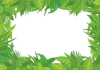 Jungle on white background
