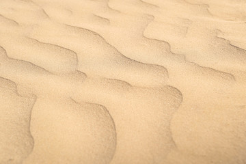 Beautiful sand waves