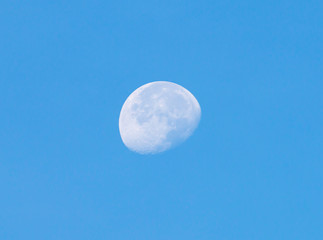 The moon is visible in the morning on a blue background.