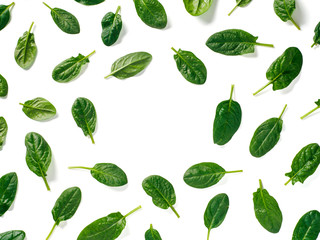 Pattern from baby spinach leaves with copy space in center. Fresh green baby spinach isolated on...