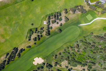 Aerial view of the green golf course in Tbilisi. Georgia. Bird's-eye.