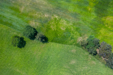 Aerial view of the green golf course in Tbilisi. Georgia. Bird's-eye.