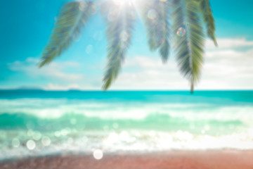 Fototapeta na wymiar Blurred background of sea and green palm 