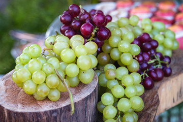 Concept of party or decoration with fruits. Beautiful assorted grapes on rustic wooden trunk, natural grapes direct from producer.