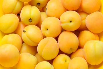 Ripe juicy orange apricots fruit background.