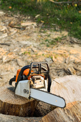  Chainsaw that stands on a heap of firewood in the yard on a beautiful background of green grass and forest.