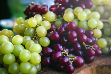 Concept of party or decoration with fruits. Beautiful assorted grapes on rustic wooden trunk, natural grapes direct from producer.