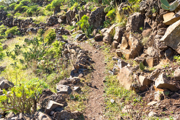 On the long distance trail from the village El Cercado down the Argaga ravine to the Valle Gran Rey on the canary island La Gomera