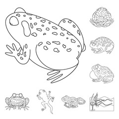 Isolated object of amphibian and animal sign. Collection of amphibian and nature stock symbol for web.