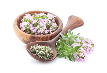 Thyme tea. Fresh and dry plants on white background