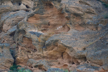 Nest of Long-legged Buzzard or Buteo rufinus on rock