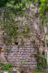 The ruins of an old abandoned Catholic church Stara Zupna Crkva on Mount Vrmac, the town of Prcanj, the Bay of Kotor, Montenegro.