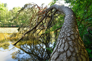 am retzbergweiherufer